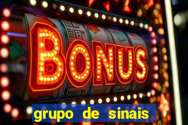 grupo de sinais fortune rabbit